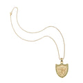 Protect Shield Pendant 16-18" Classic Rolo