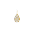 Cowrie Mother of Pearl Charm