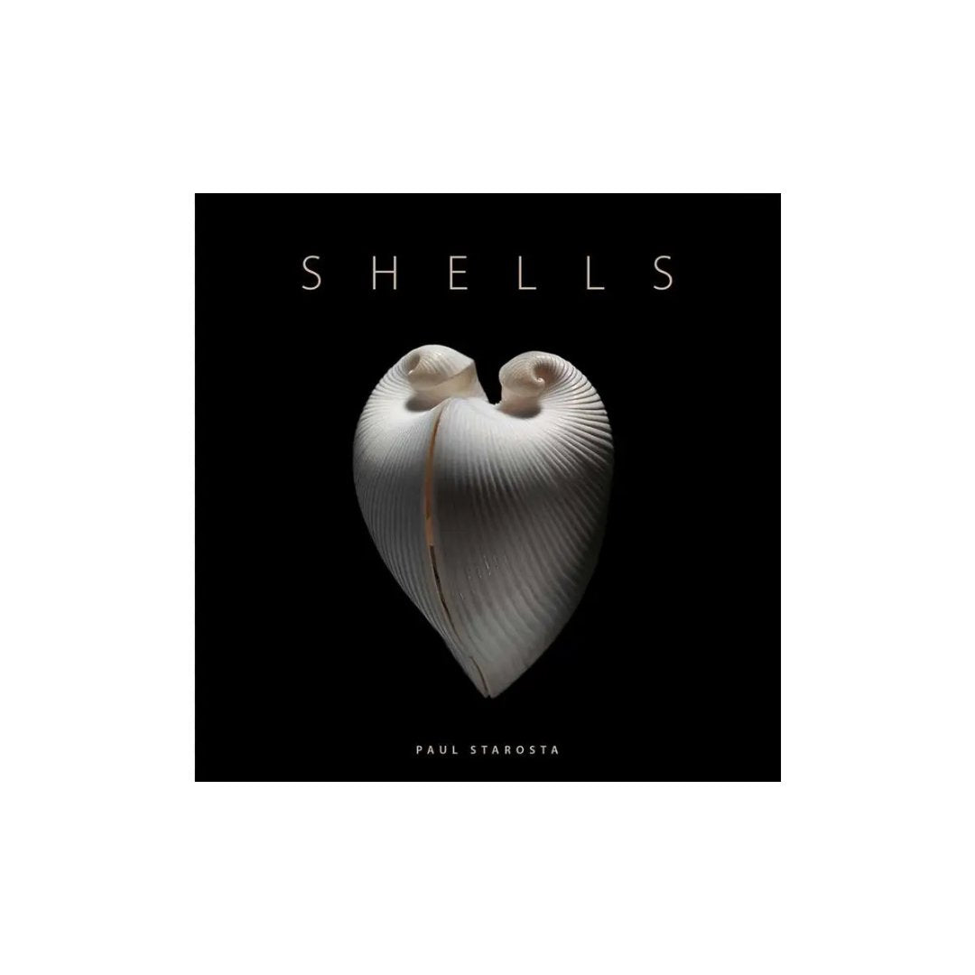 Shells By Paolo Portoghesi