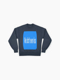 WE DIDN'T EVEN KISS" Sweatshirt | Heated Rivalry Book Quote Top