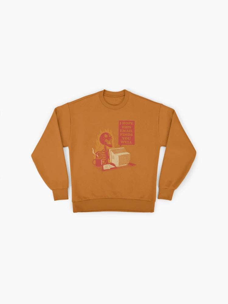 'You Got Mail' Nostalgic Graphic, Premium Oversized Sweatshirt