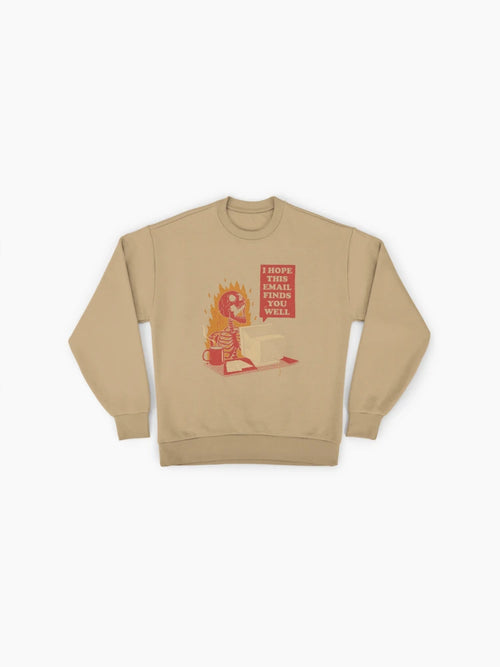 'You Got Mail' Nostalgic Graphic, Premium Oversized Sweatshirt