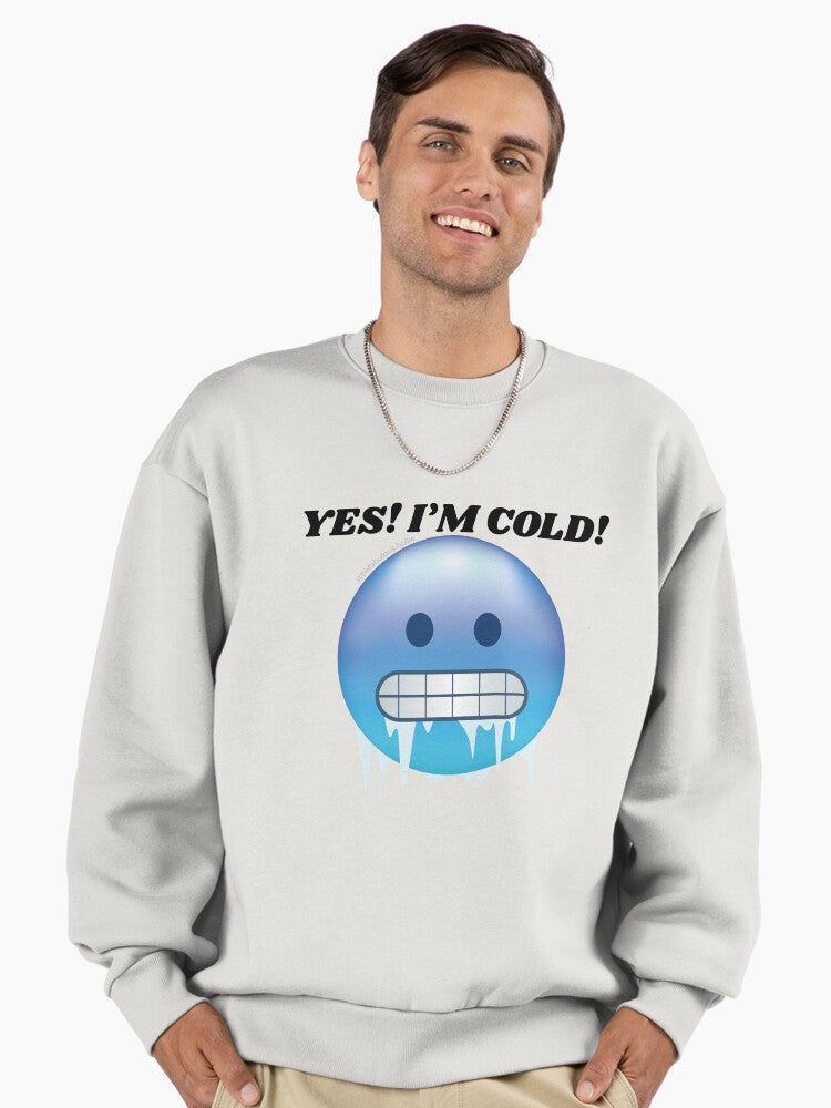 I'm Cold" Funny Saying Sweatshirt, Cozy Premium Oversized Pullover Bone